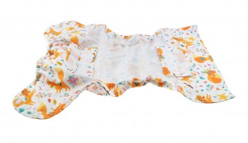 2020 06 xl 2in1cover snap fox