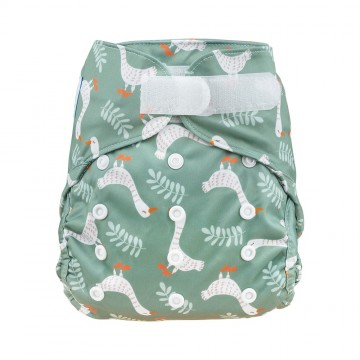 Gansjesklittenband 1