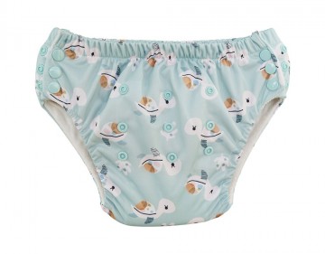 Oefenbroekjezeeschildpad