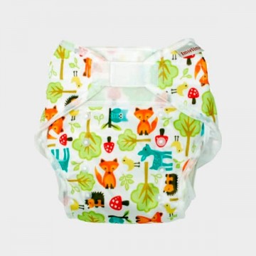 Overbroekje woodland