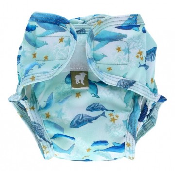 Zwemluierunderthesea